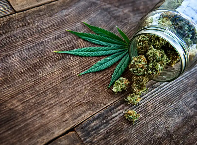 A glass jar tipped over on a rustic wooden surface, spilling dried cannabis buds. A fresh green cannabis leaf is placed beside the jar, highlighting the natural texture of the plant. The wooden background has a weathered look, adding an organic and earthy feel to the composition. 